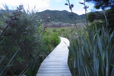 Great Walks Discover Abel Tasman