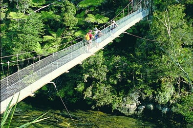 Great Walks Swing bridge Abel Tasman