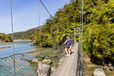 hikingnz bark bay swing bridge