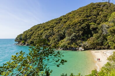 hikingnz medlands beach able tasman
