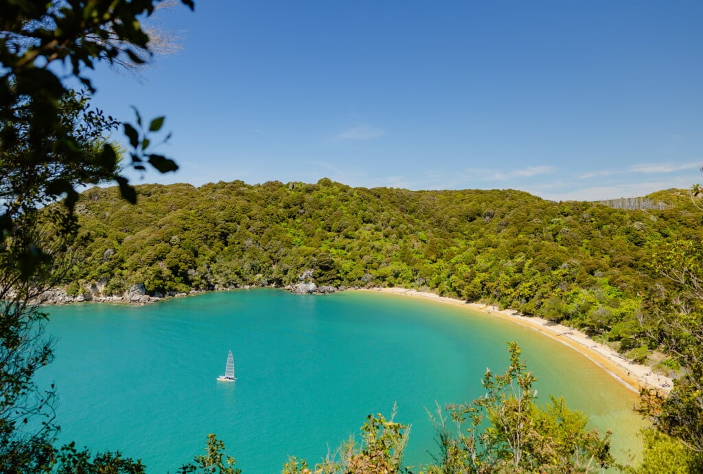 View of Pukatea Bay from Pitt Head track - historic Māori pā.