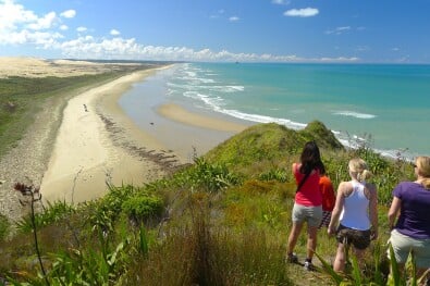 HIking NZ Cape Reinga guided walk
