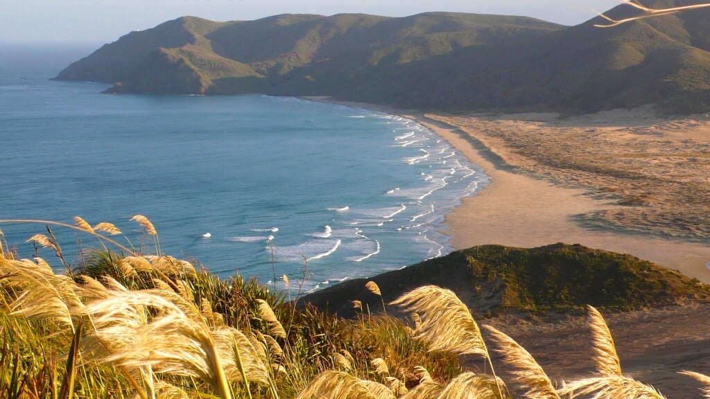 Looking north over the beach hike to Cape Reinga (lighthouse is just visible top left).