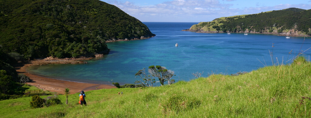 Swim time after the first hours hike. Cape Brett, Bay of islands.