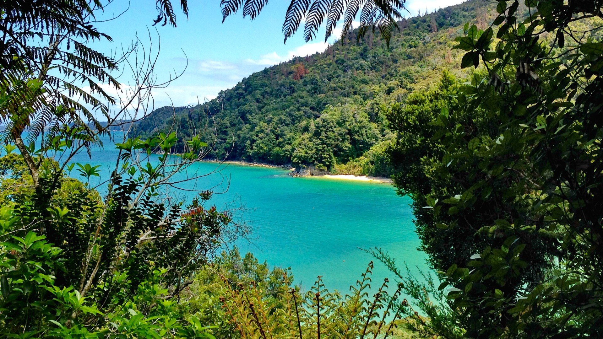 North east facing, Abel Tasman is nicely protected from the prevailing westerlies.