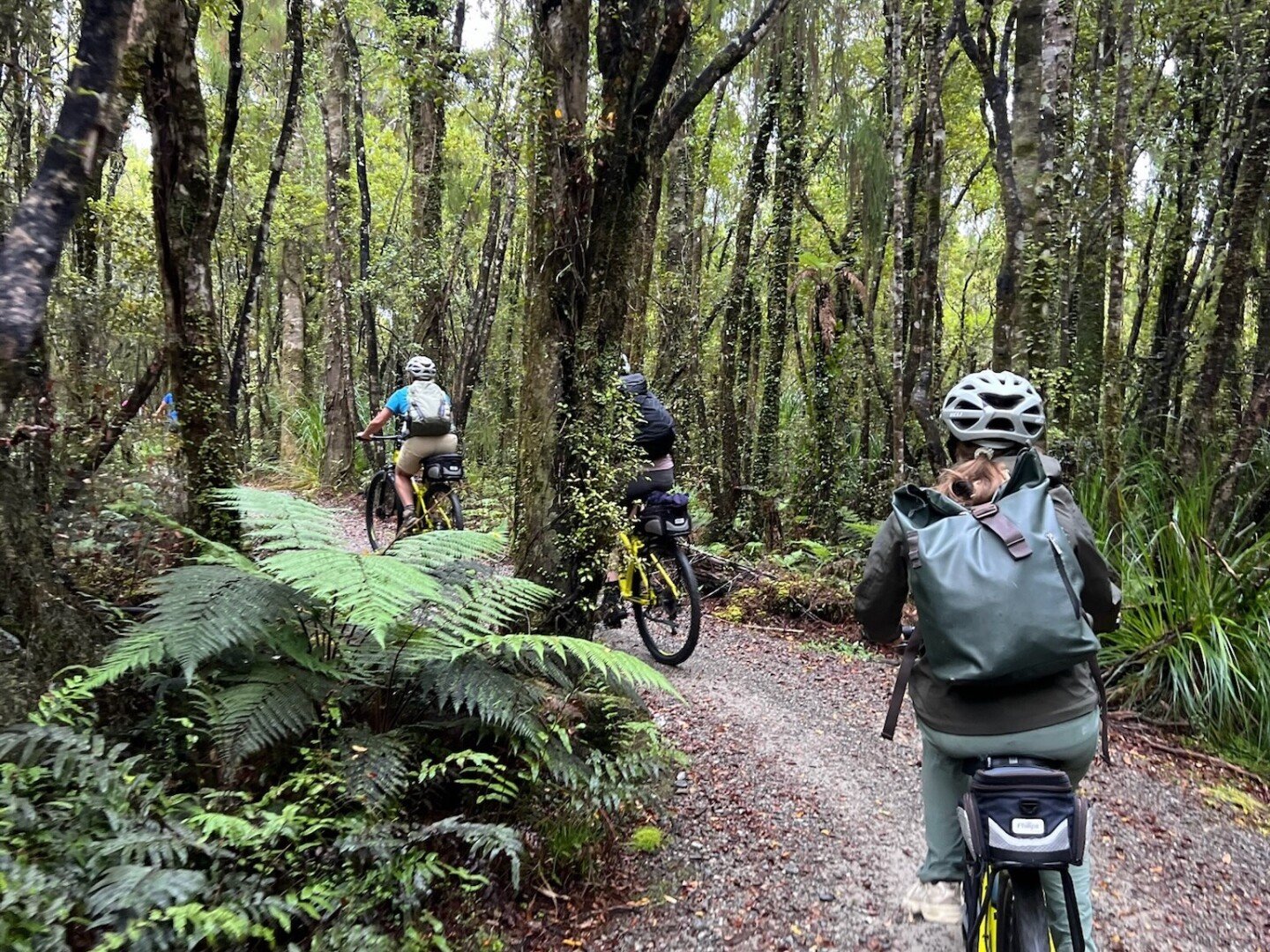 Exploring the West Coast Wilderness Trail.
