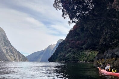 Milford Sound Kayaking