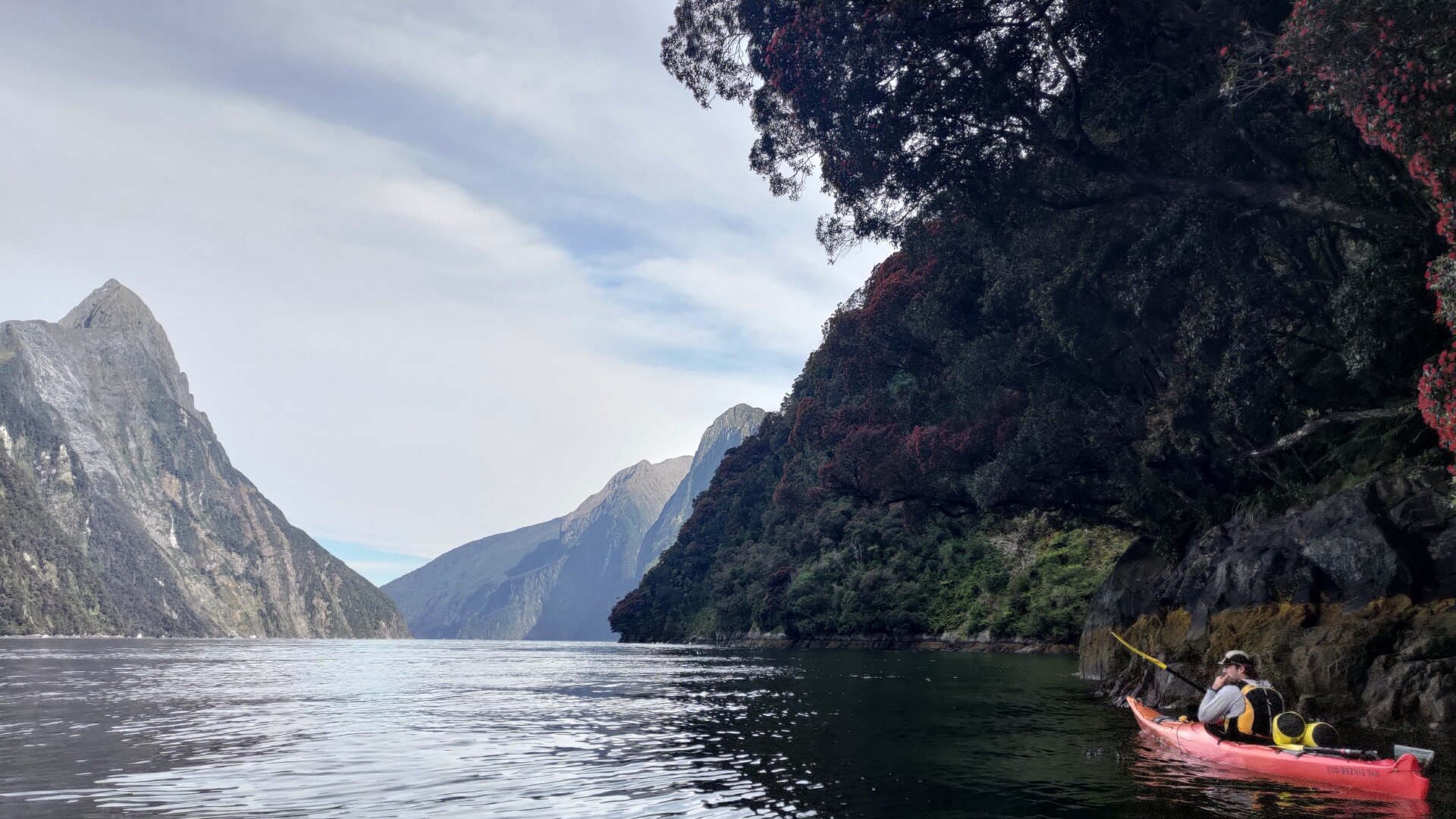 Milford Sound from the kayak, close to the cliffs, waterfalls, and raw beauty.