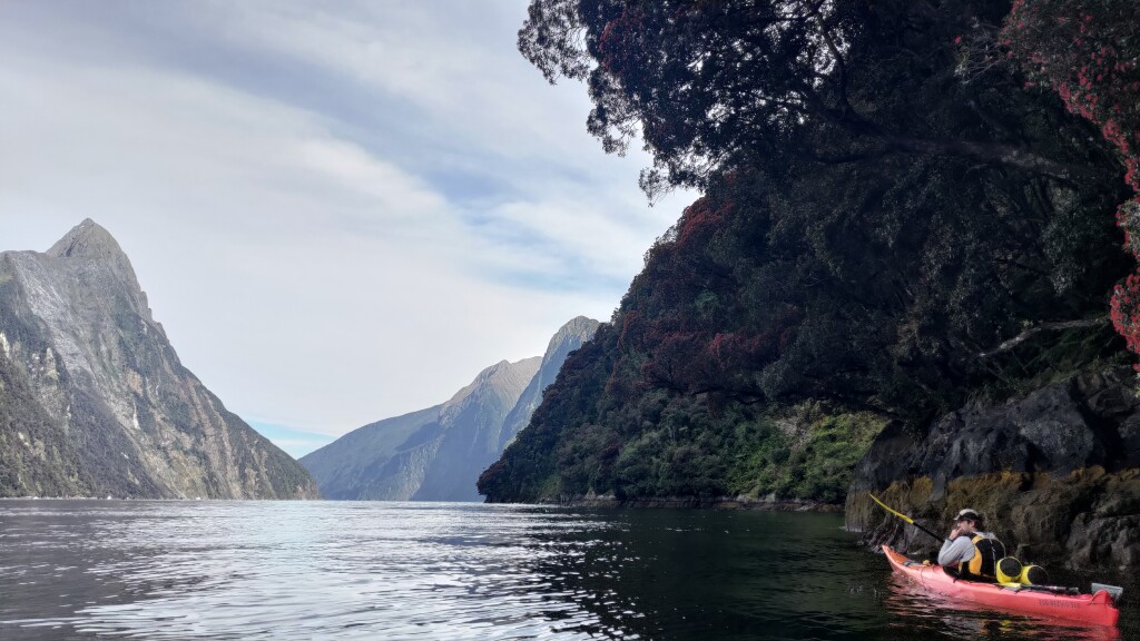 Milford Sound from the kayak, close to the cliffs, waterfalls, and raw beauty.