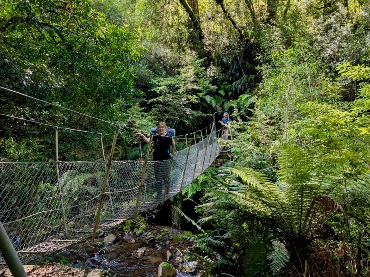 Experience the primordial, original rainforests.