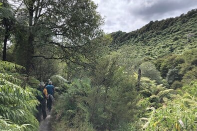 Lake Tarawera Hike