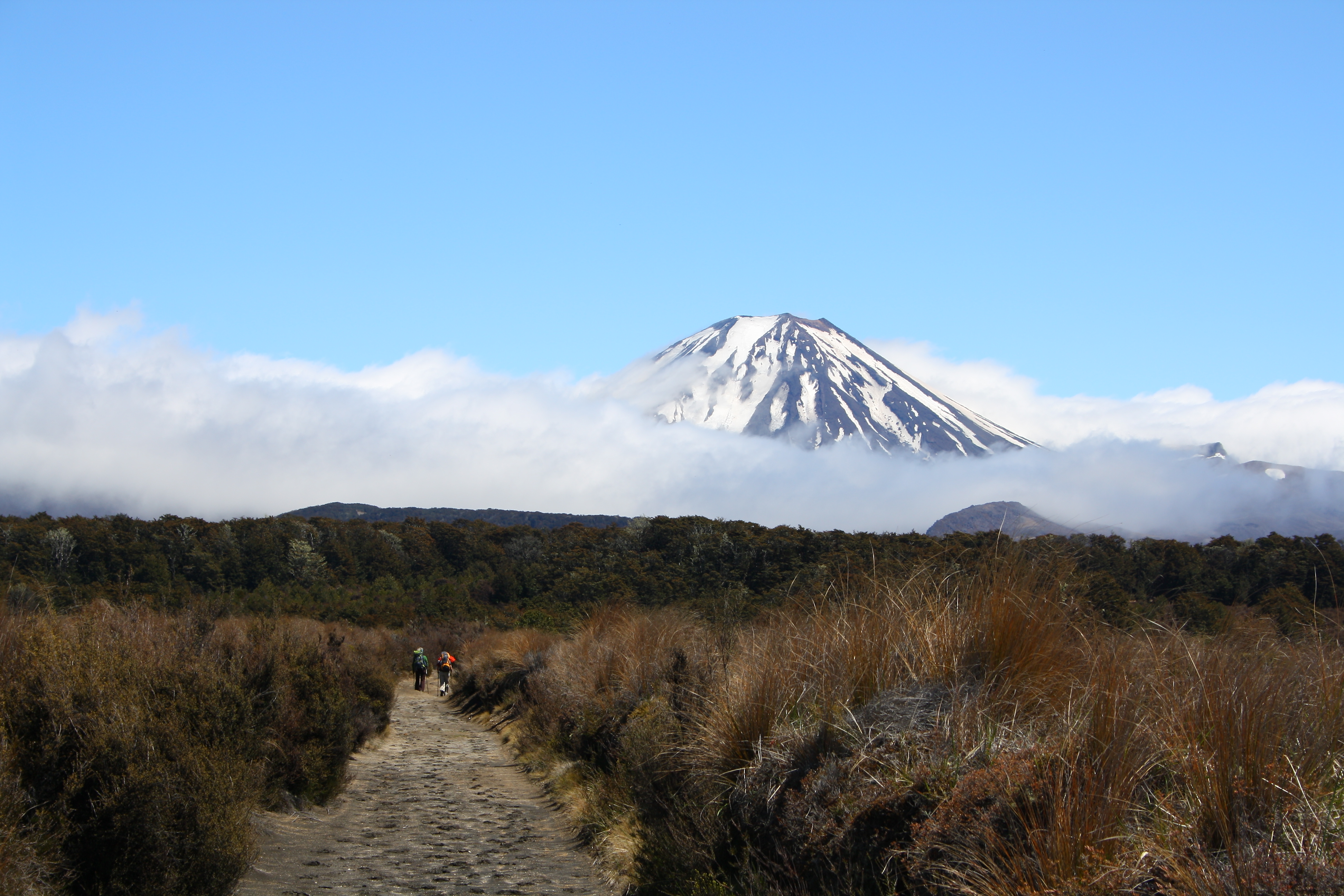 Ultimate North Island Overview | Hiking NZ