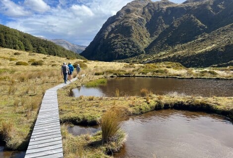 Edwards Hut Hike 
