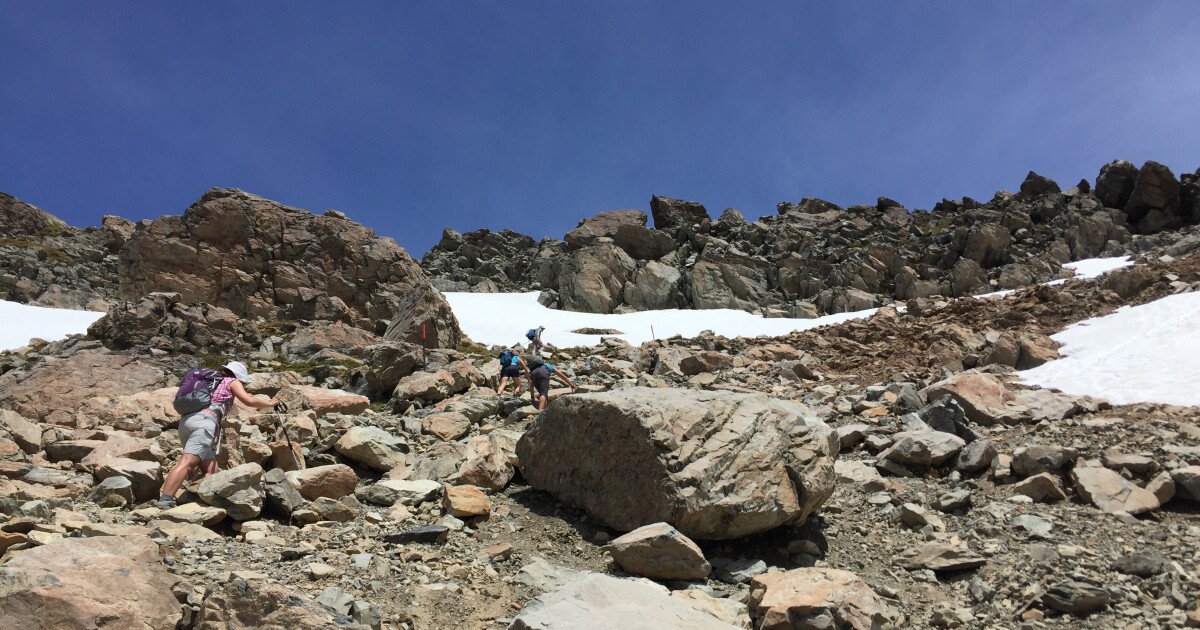 For the keen hikers amongst the group scramble to Mueller Ridge from ...