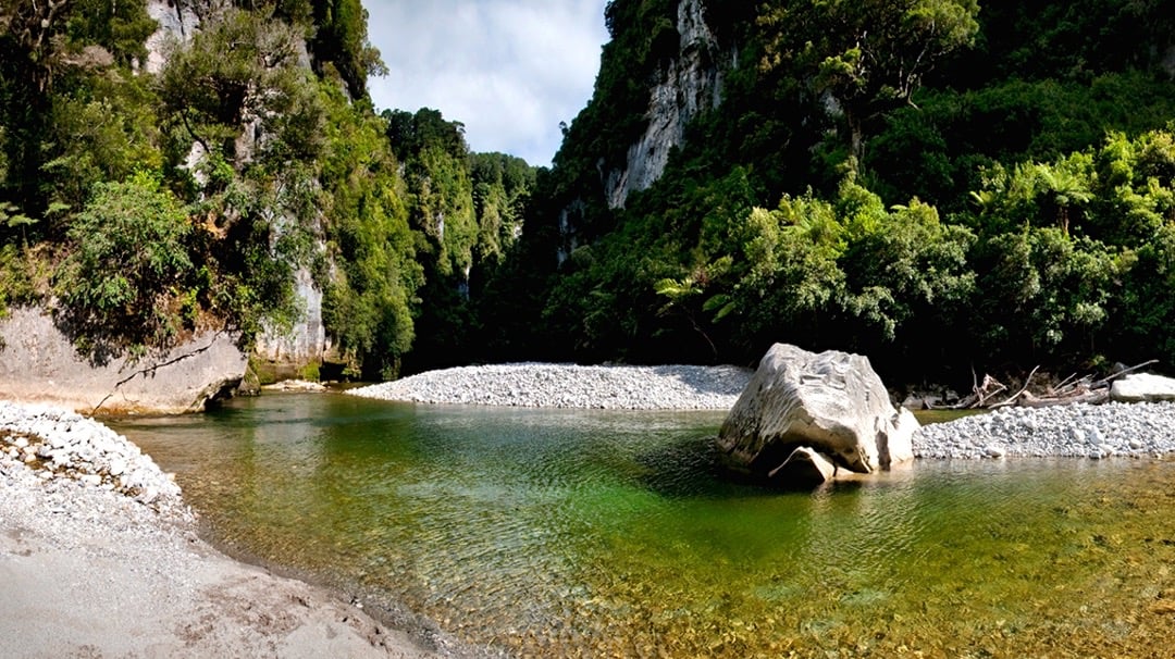 Spy the 'whale rock' up the Fox River in Paparoa National Park.
