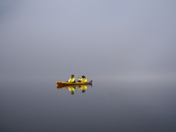 Kayaking Milford Sound 