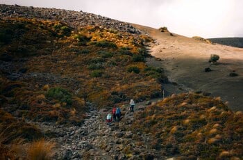 path-to-oturere-hut.jpg