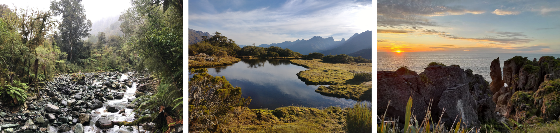 Imagery of New Zealands Conservation Land